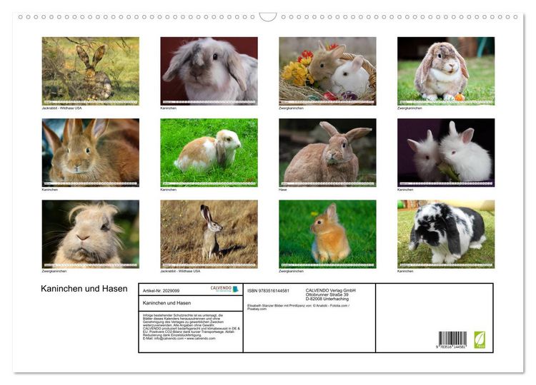 Produktbild: Kaninchen und Hasen (Wandkalender 2026 DIN A2 quer), CALVENDO Monatskalender