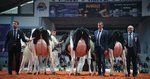 Produktbild: Das System Milch