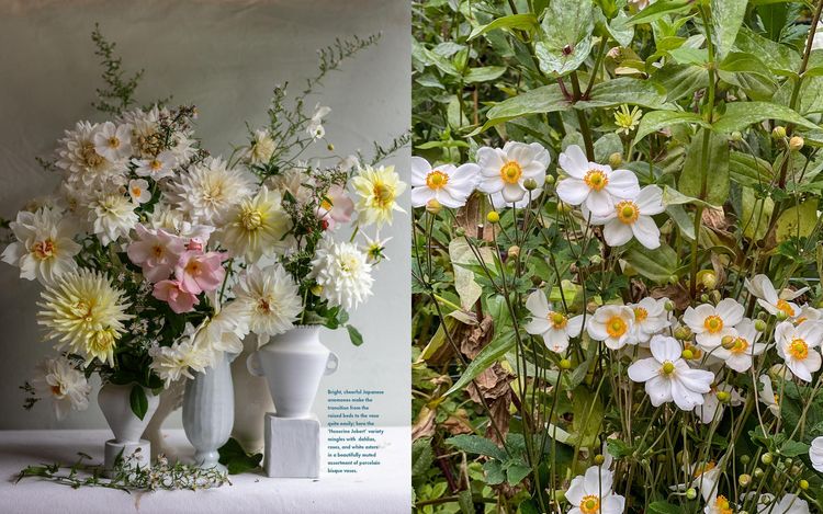 Produktbild: Life with Flowers