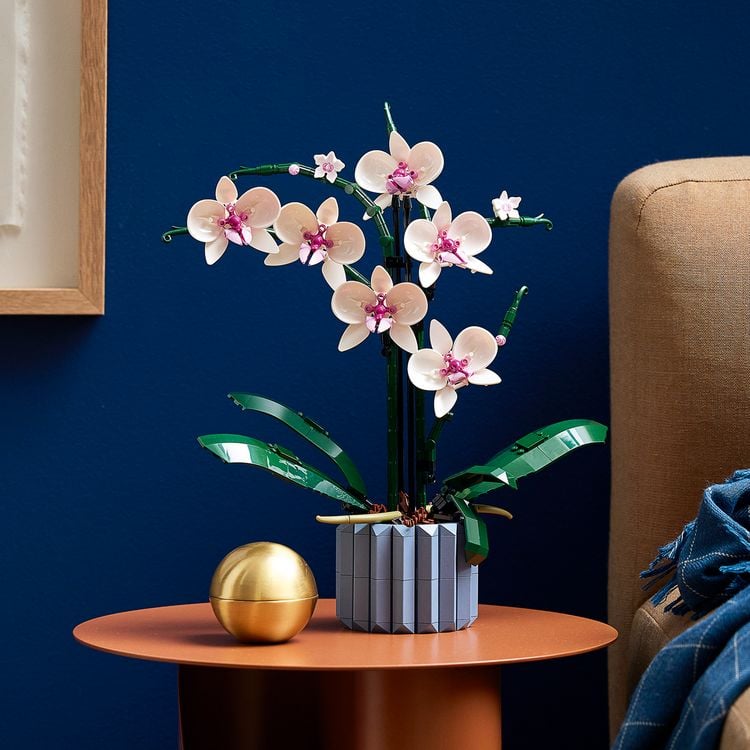 Produktbild: LEGO Botanicals Orchidee Set f&uuml;r Erwachsene - K&uuml;nstliche Pflanzen 10311