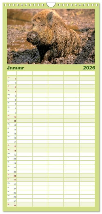 Produktbild: Familienplaner 2026 - Tiere des Waldes mit 5 Spalten (Wandkalender, 21 x 45 cm) CALVENDO