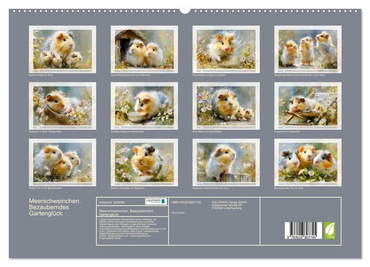 Produktbild: Meerschweinchen. Bezauberndes Gartengl&uuml;ck (hochwertiger Premium Wandkalender 2027 DIN A2 quer), Kunstdruck in Hochglanz