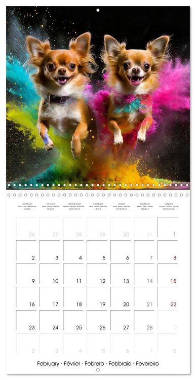 Produktbild: Dynamic Duo - Two Paws, One Leap (Wall Calendar 2026 12 &times; 12 Inch) CALVENDO 12 Month Wall Calendar