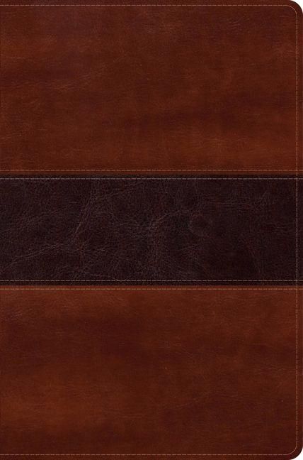 Produktbild: Rvr 1960 Biblia del Pescador Letra Grande, Caoba S&iacute;mil Piel