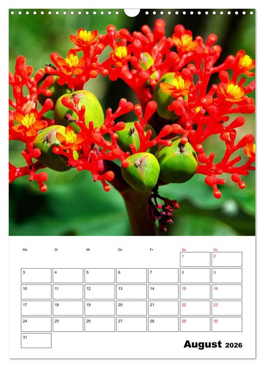 Produktbild: Karibik pur - mit Charme und Zauber (Wandkalender 2026 DIN A3 hoch), CALVENDO Monatskalender