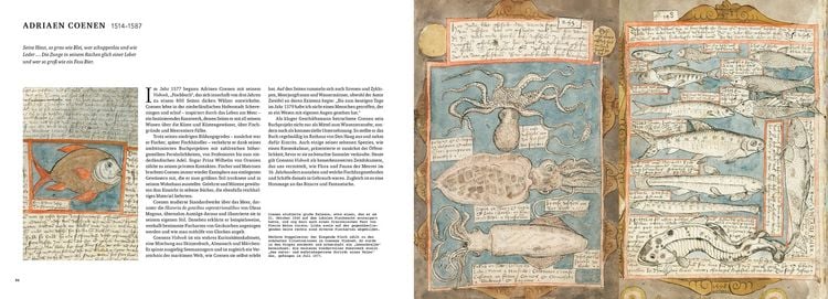 Produktbild: Das Buch des Meeres