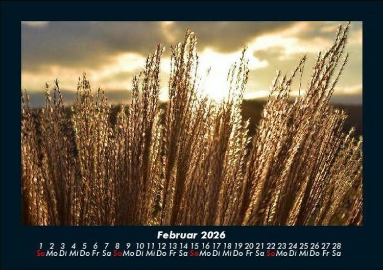 Produktbild: Bilder der Natur 2026 Fotokalender DIN A5
