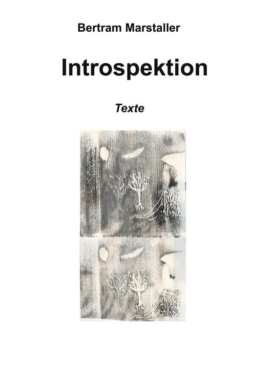 Produktbild: Introspektion