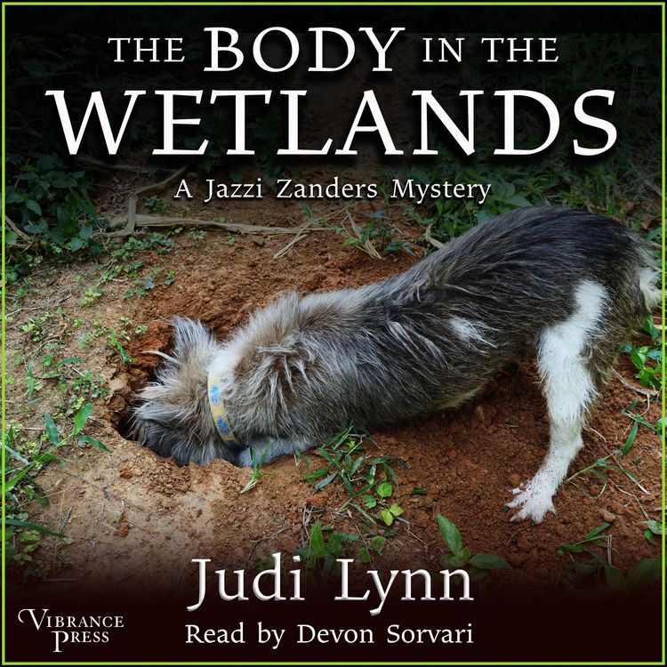 Produktbild: The Body in the Wetlands