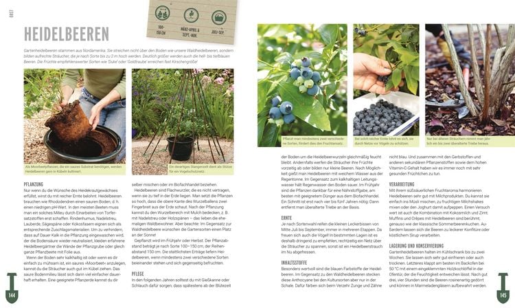 Produktbild: Ackerhelden - Biog&auml;rtnern f&uuml;r Einsteiger