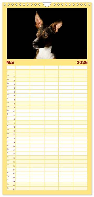 Produktbild: Familienplaner 2026 - Bunte Pfoten mit 5 Spalten (Wandkalender, 21 x 45 cm) CALVENDO