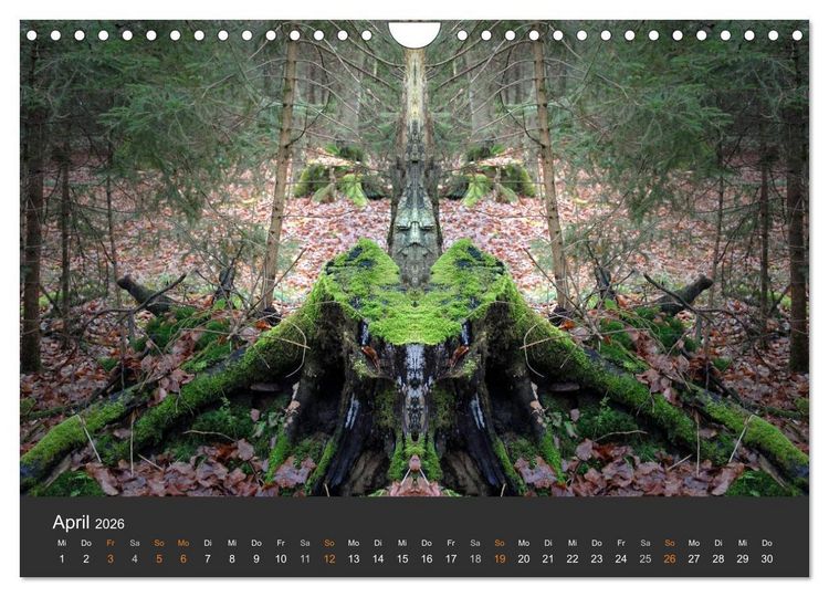 Produktbild: Spiegelwelten - Im Reich der Naturwesen (Wandkalender 2026 DIN A4 quer), CALVENDO Monatskalender