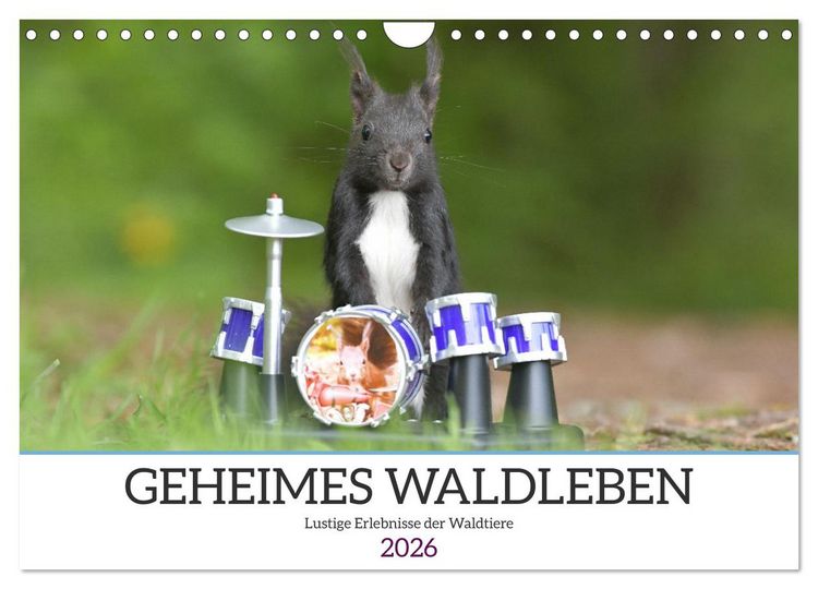 Produktbild: Geheimes Waldleben (Wandkalender 2026 DIN A4 quer), CALVENDO Monatskalender