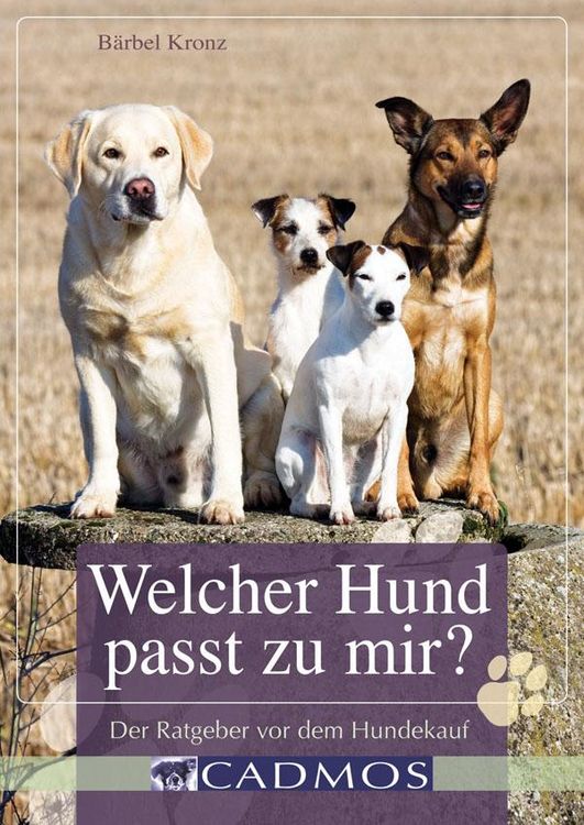 Produktbild: Welcher Hund passt zu mir?