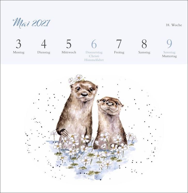Produktbild: Hannah Dale: Happy Animals Premium-Postkartenkalender 2027