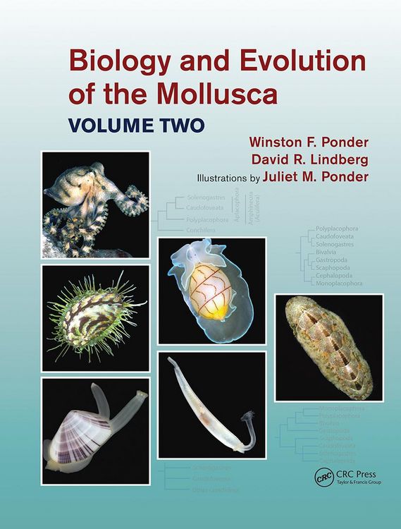 Produktbild: Lindberg, D: Biology and Evolution of the Mollusca, Volume 2