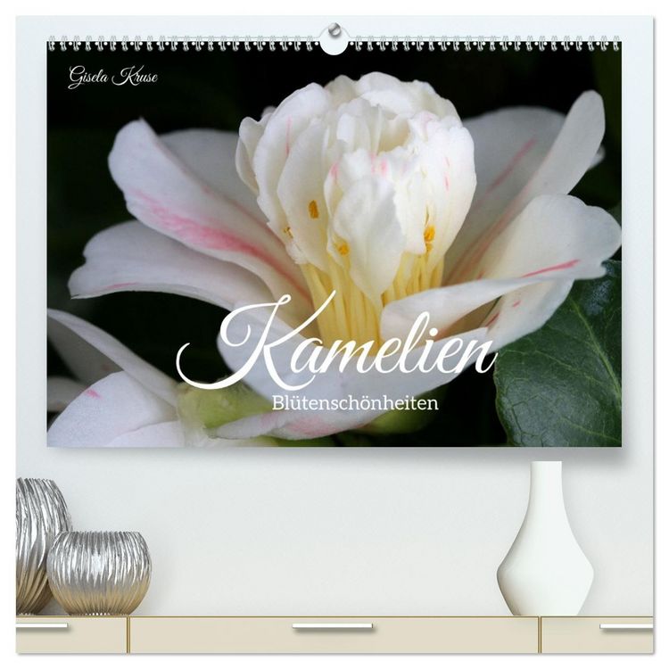 Produktbild: Kamelien - Bl&uuml;tensch&ouml;nheiten (hochwertiger Premium Wandkalender 2026 DIN A2 quer), Kunstdruck in Hochglanz