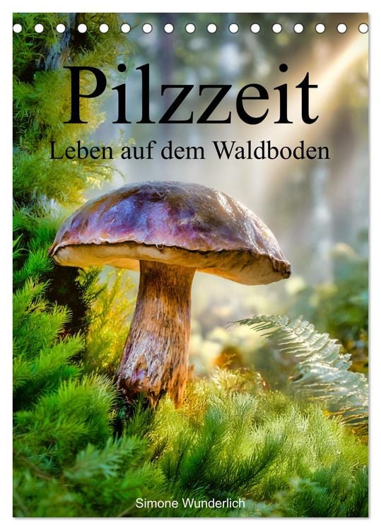 Produktbild: Pilzzeit - Leben auf dem Waldboden (Tischkalender 2027 DIN A5 hoch), CALVENDO Monatskalender