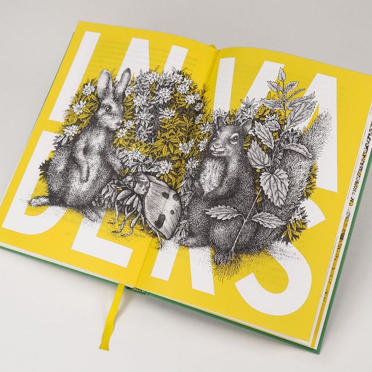 Produktbild: Wildlife Gardening