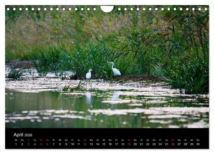 Produktbild: Donaudelta (Wandkalender 2026 DIN A4 quer), CALVENDO Monatskalender