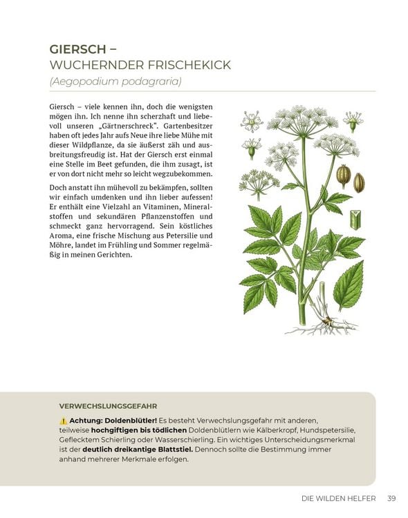 Produktbild: Wilde Kraft