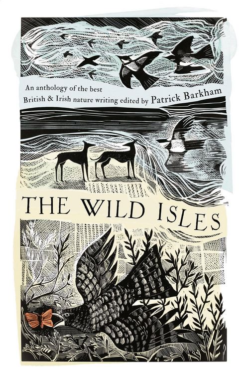 Produktbild: The Wild Isles