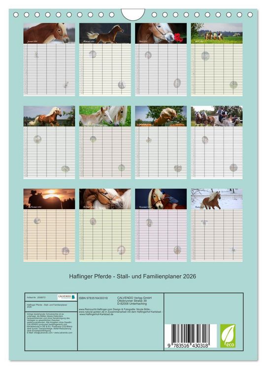 Produktbild: Haflinger Pferde - Stall- und Familienplaner 2026 (Wandkalender 2026 DIN A4 hoch), CALVENDO Monatskalender