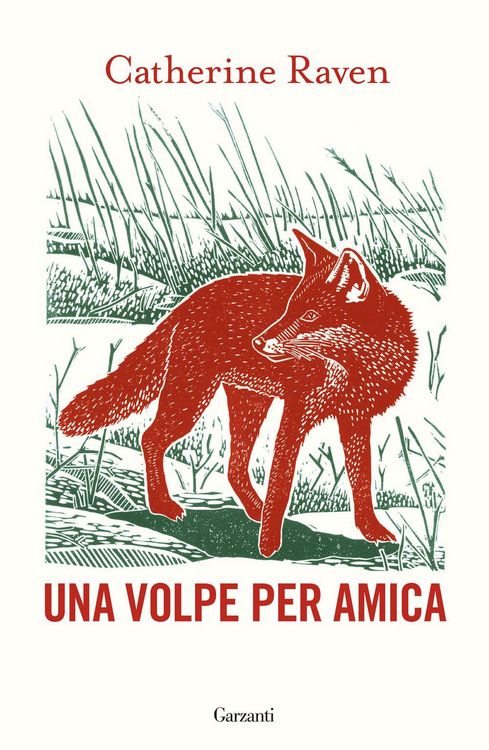 Produktbild: Una volpe per amica