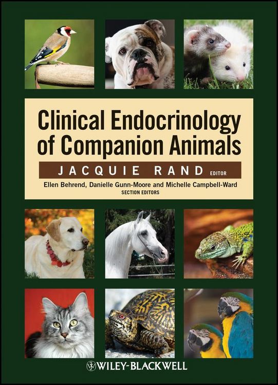 Produktbild: Clinical Endocrinology of Companion Animals