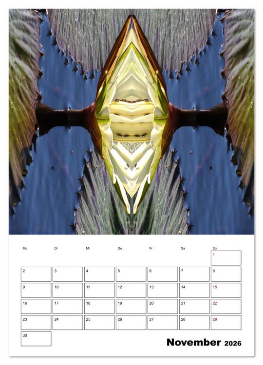 Produktbild: Fotokunst und Natur 2026 (Wandkalender 2026 DIN A3 hoch), CALVENDO Monatskalender