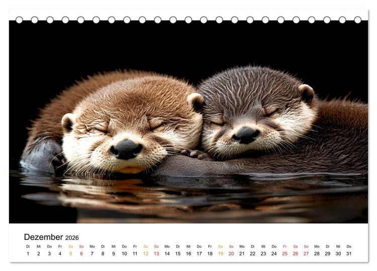 Produktbild: Wilde Heimat - Fischotter (Tischkalender 2026 DIN A5 quer), CALVENDO Monatskalender