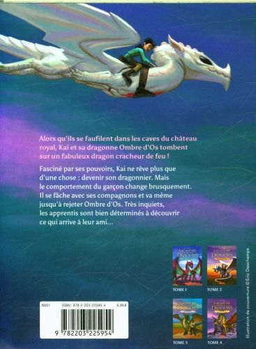 Produktbild: L'acad&eacute;mie des dragons