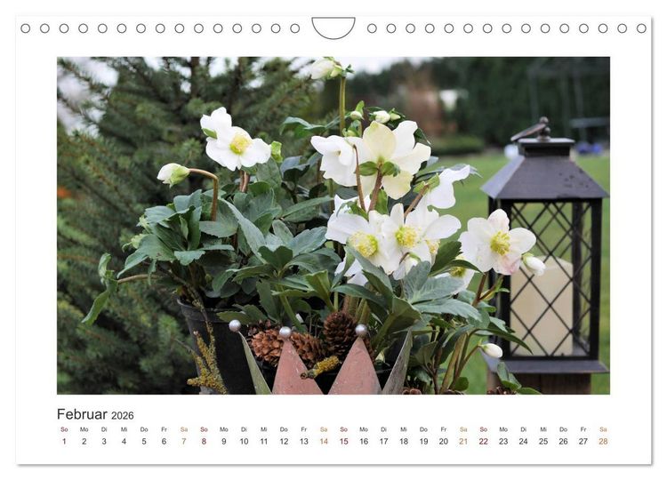 Produktbild: Blumen, Bl&uuml;ten, Dekoliebe (Wandkalender 2026 DIN A4 quer), CALVENDO Monatskalender
