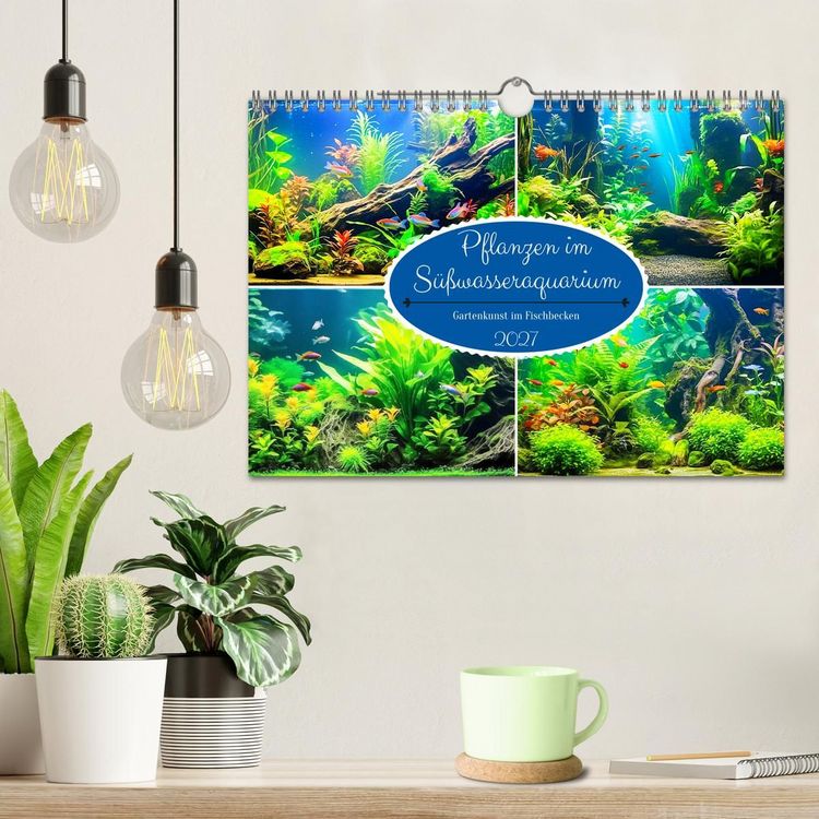 Pflanzen im Süßwasseraquarium Pflanzen im Süßwasseraquarium. Gartenkunst im Fischbecken