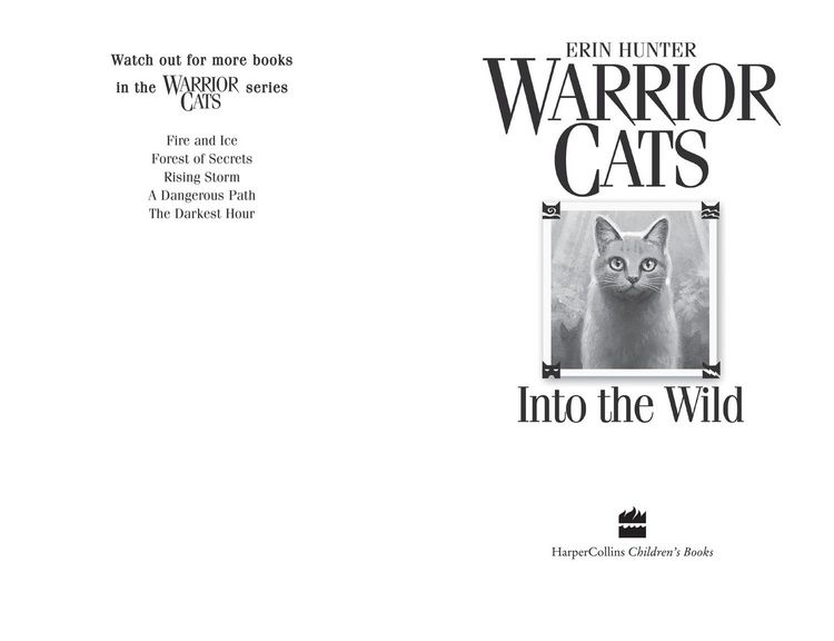 Produktbild: Into the Wild
