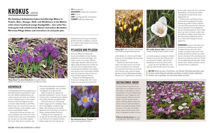 Produktbild: Gr&uuml;nes Gartenwissen. Zwiebel- und Knollenpflanzen