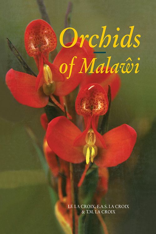Produktbild: Orchids of Malawi