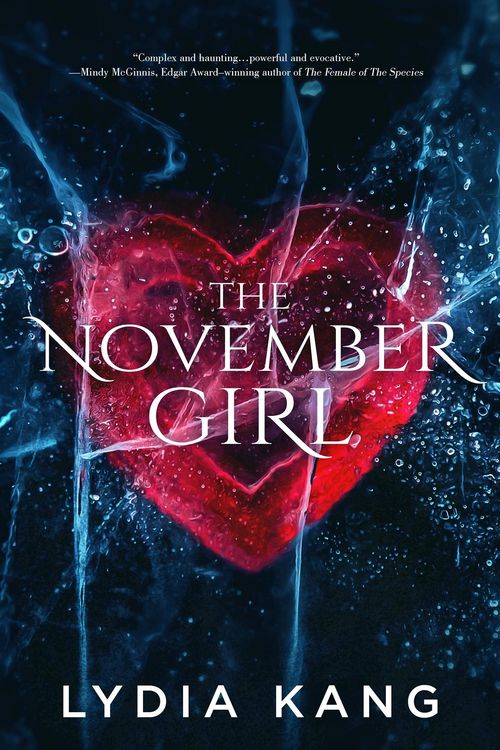 Produktbild: The November Girl
