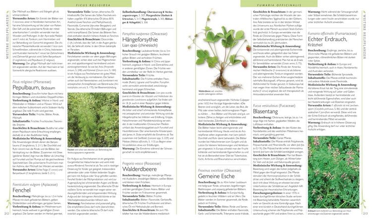 Produktbild: Das gro&szlig;e Lexikon der Heilpflanzen