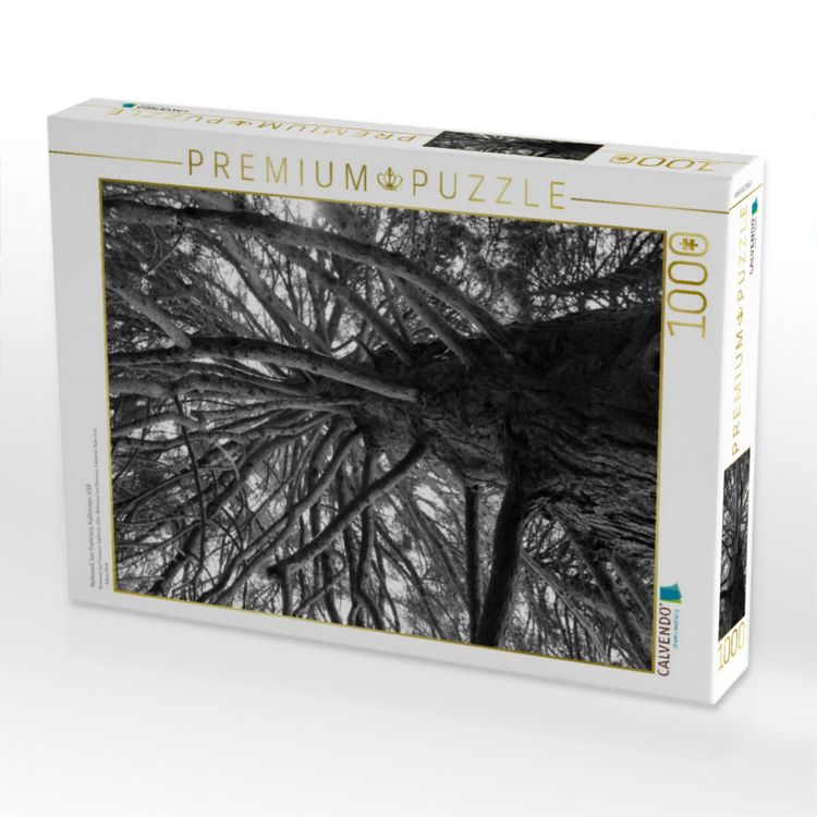 Produktbild: CALVENDO Puzzle Redwood, San Francisco, Kalifornien, USA | 1000 Teile Lege-Gr&ouml;&szlig;e 64x48cm Foto-Puzzle f&uuml;r gl&uuml;ckliche Stunden