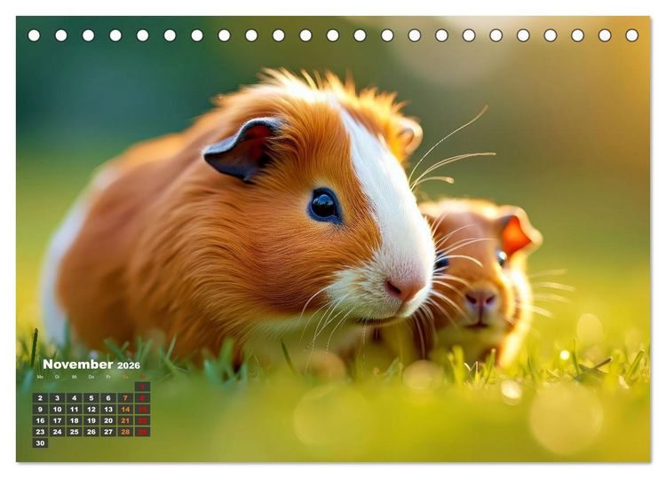Produktbild: S&uuml;&szlig;e Meerschweinchen (Tischkalender 2026 DIN A5 quer), CALVENDO Monatskalender