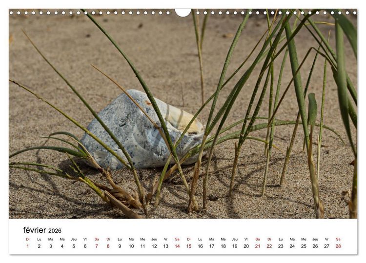 Produktbild: Dunes et mer - Une exp&eacute;rience nature (Calendrier mural 2026 DIN A3 vertical), CALVENDO calendrier mensuel