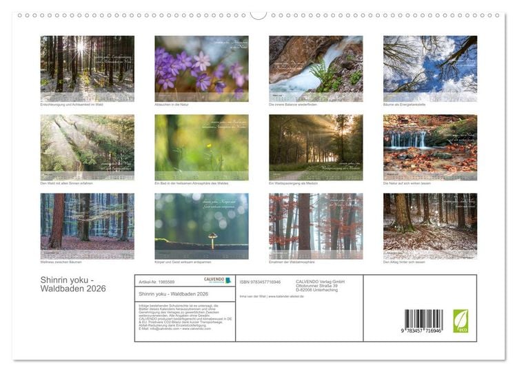 Produktbild: Shinrin yoku - Waldbaden 2026 (hochwertiger Premium Wandkalender 2026 DIN A2 quer), Kunstdruck in Hochglanz