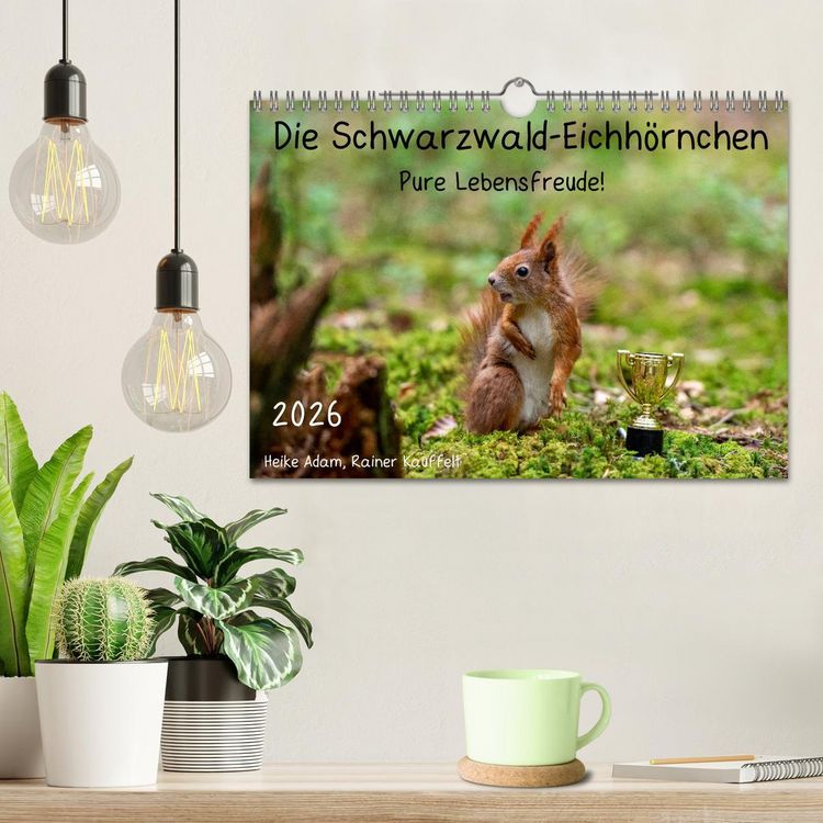 Produktbild: Die Schwarzwald-Eichh&ouml;rnchen (Wandkalender 2026 DIN A4 quer), CALVENDO Monatskalender