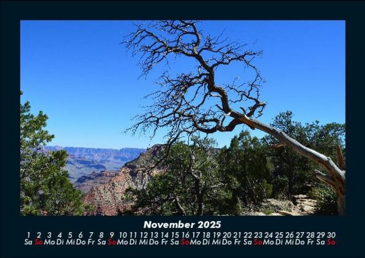 Produktbild: B&auml;ume 2025 Fotokalender DIN A5