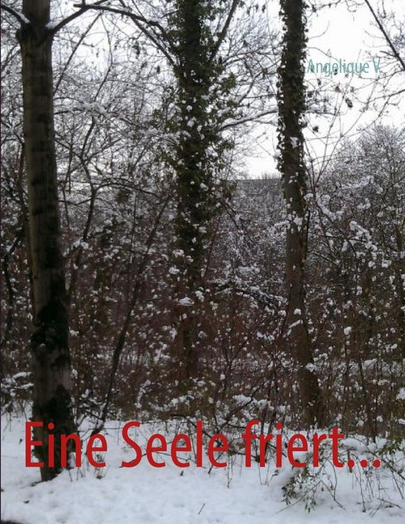 Produktbild: Eine Seele friert...