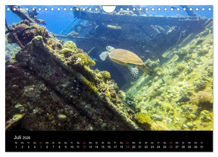 Produktbild: Abu Nuhas - Wracks im Roten Meer (Wandkalender 2026 DIN A4 quer), CALVENDO Monatskalender