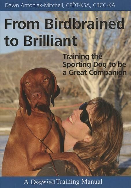 Produktbild: From Birdbrained to Brilliant