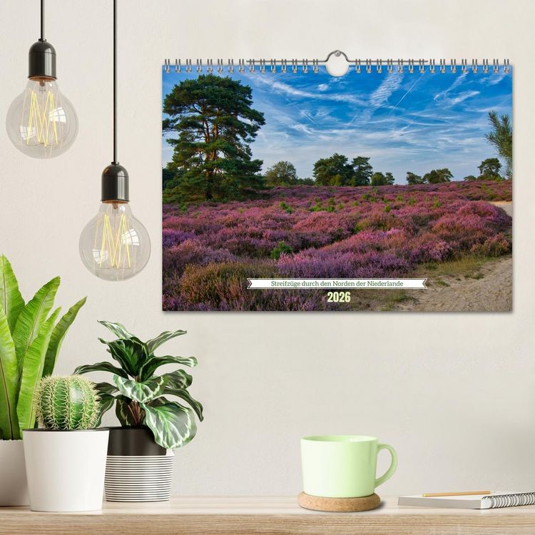 Produktbild: Streifz&uuml;ge durch den Norden der Niederlande (Wandkalender 2026 DIN A4 quer), CALVENDO Monatskalender