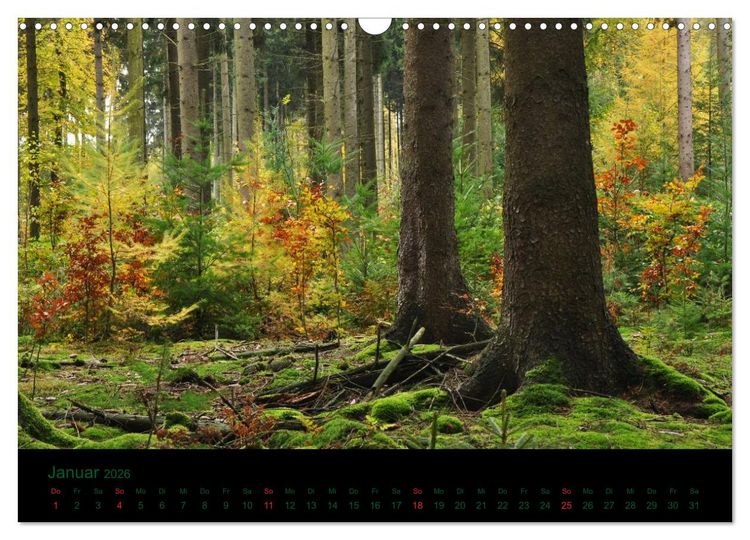 Produktbild: Baumgefl&uuml;ster (Wandkalender 2026 DIN A3 quer), CALVENDO Monatskalender